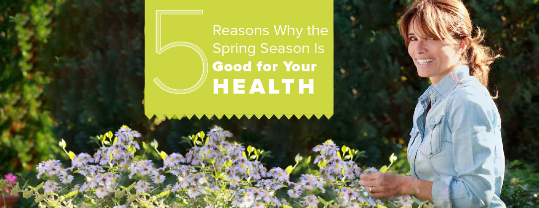 Spring Into Action: 5 Reasons Why the Spring Season Is Good for Your ...